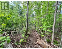 Pt Lt 9 Foymount Road, Bonnechere Valley, ON K0J1M0 Photo 31