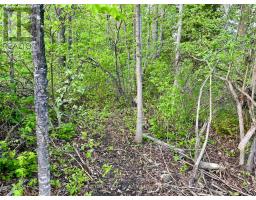 Pt Lt 9 Foymount Road, Bonnechere Valley, ON K0J1M0 Photo 32