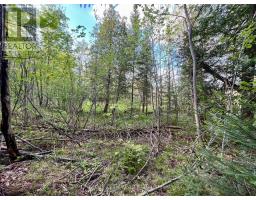Pt Lt 9 Foymount Road, Bonnechere Valley, ON K0J1M0 Photo 33