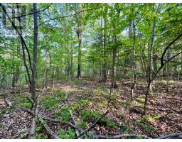 Pt Lt 9 Foymount Road, Bonnechere Valley, ON K0J1M0 Photo 6