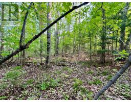 Pt Lt 9 Foymount Road, Bonnechere Valley, ON K0J1M0 Photo 7