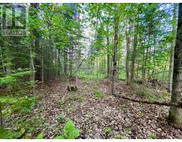 Pt Lt 9 Foymount Road, Bonnechere Valley, ON K0J1M0 Photo 8