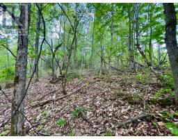 Pt Lt 9 Foymount Road, Bonnechere Valley, ON K0J1M0 Photo 9