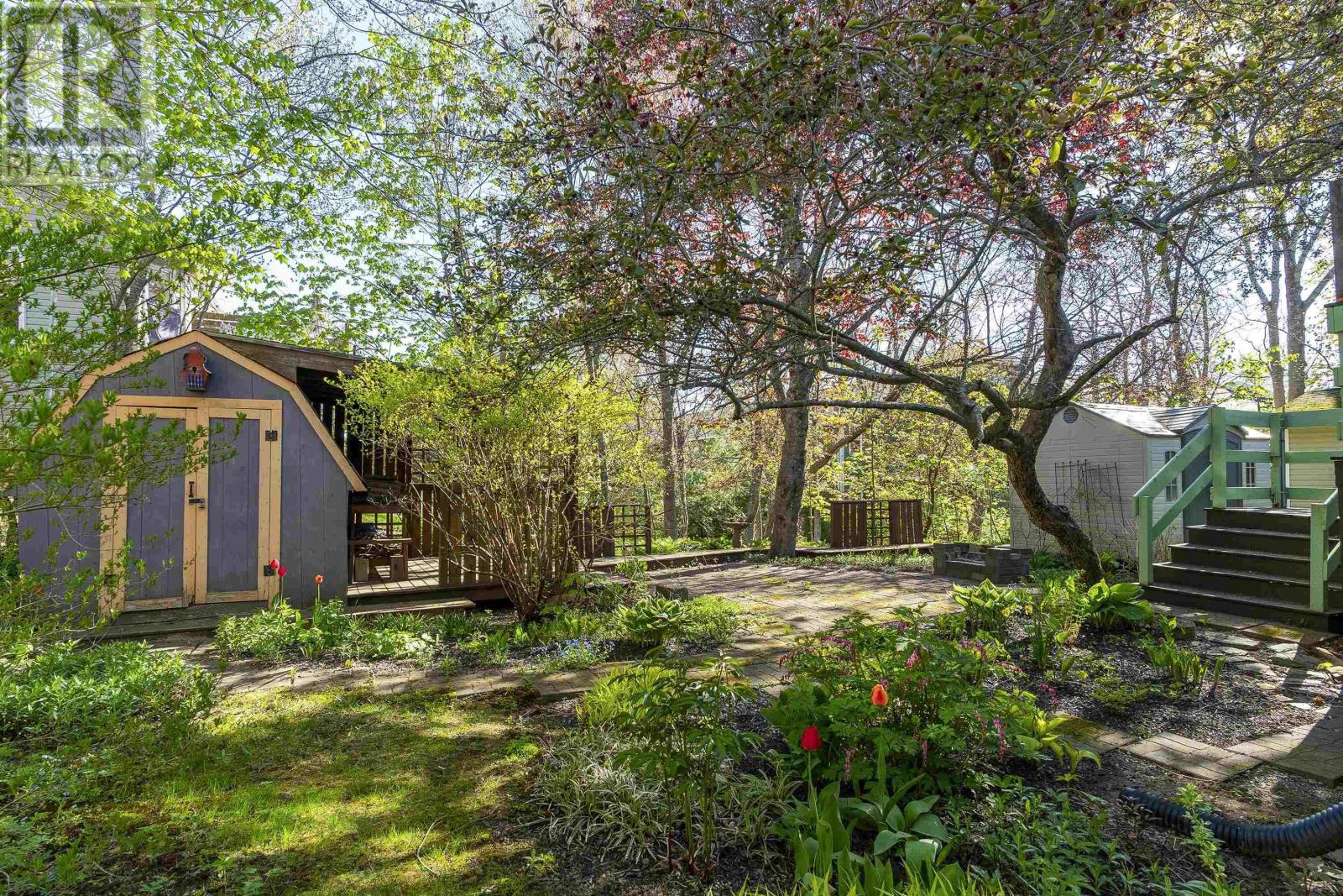 11 Maple Grove Avenue - 28