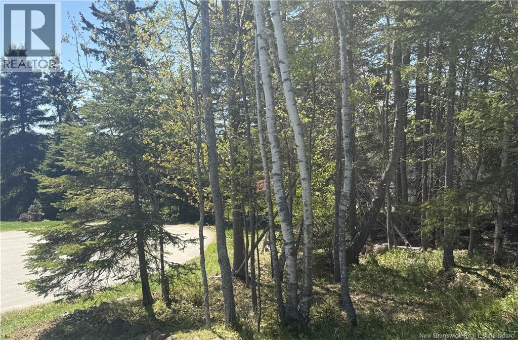 26 Paige Street - 14