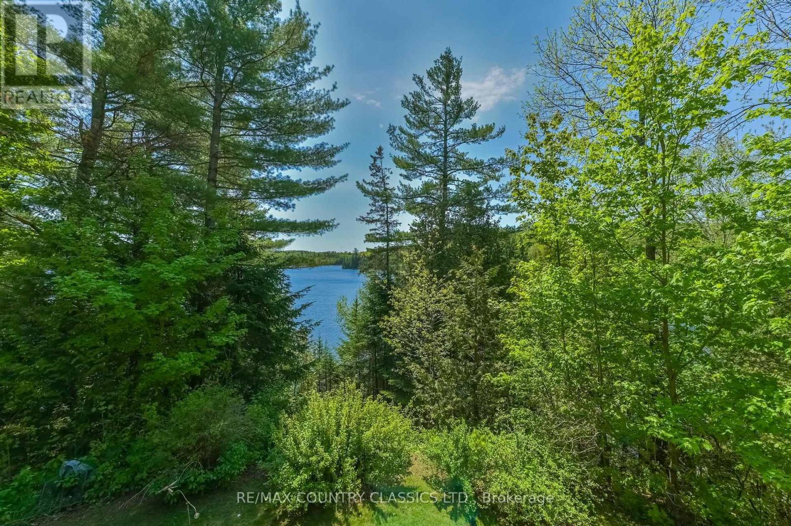 143 SCOTT SETTLEMENT ROAD - 11