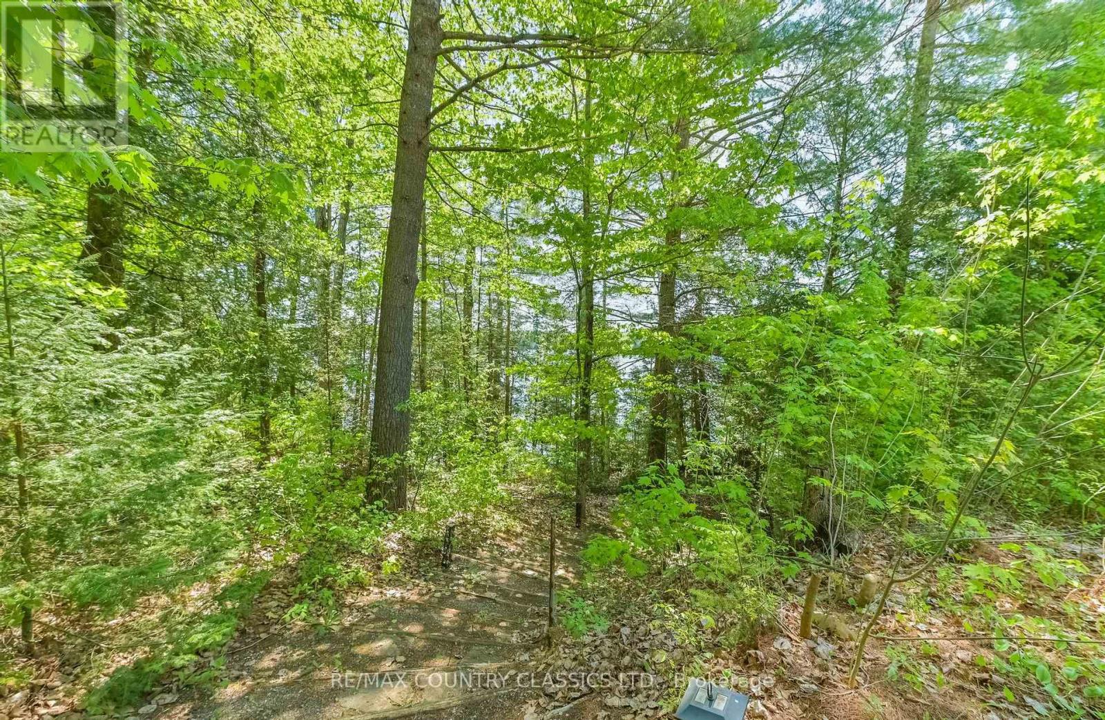 143 SCOTT SETTLEMENT ROAD - 14