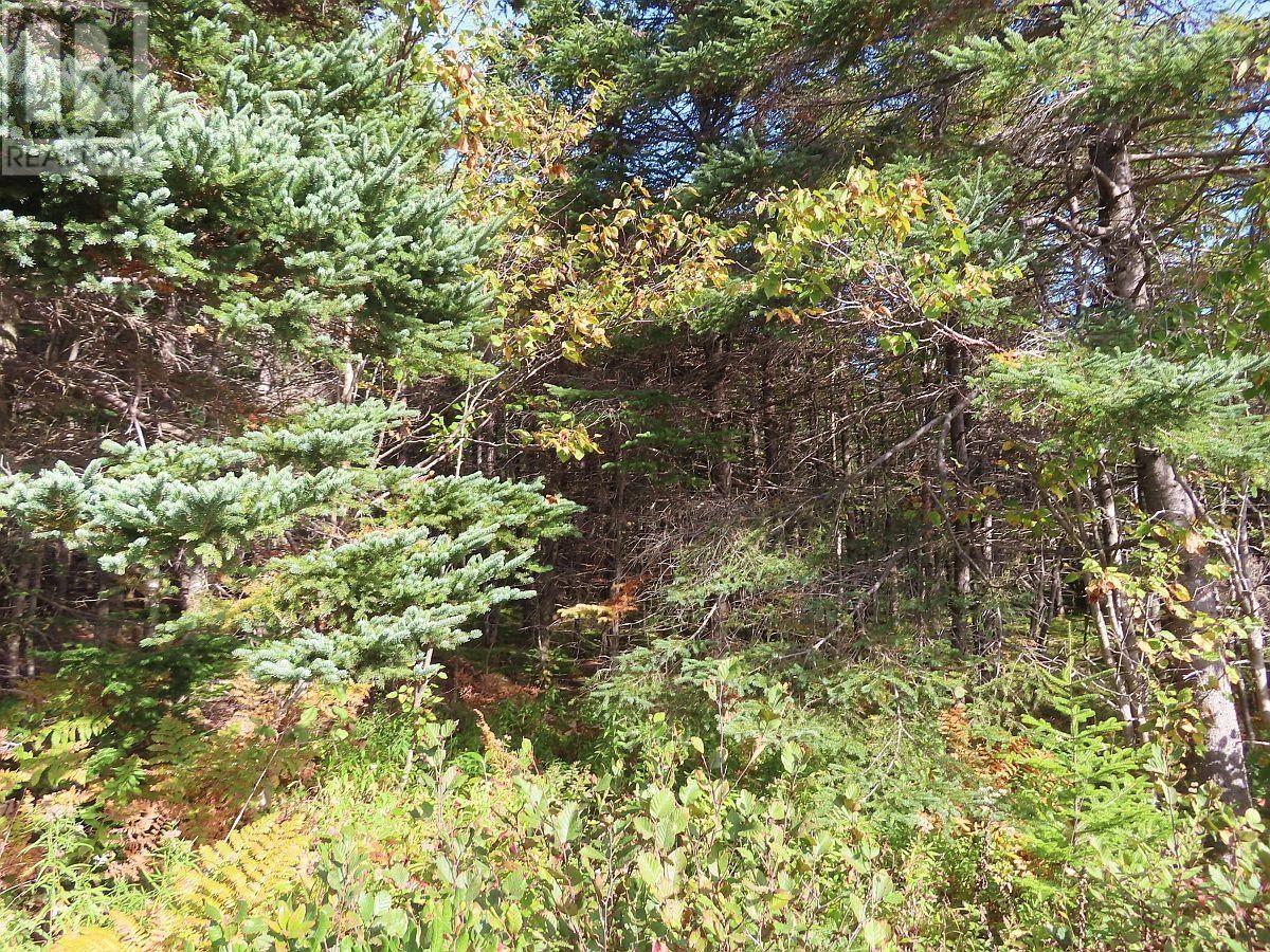Property 13 of 45 of Lot 30 Belfry Lake Road