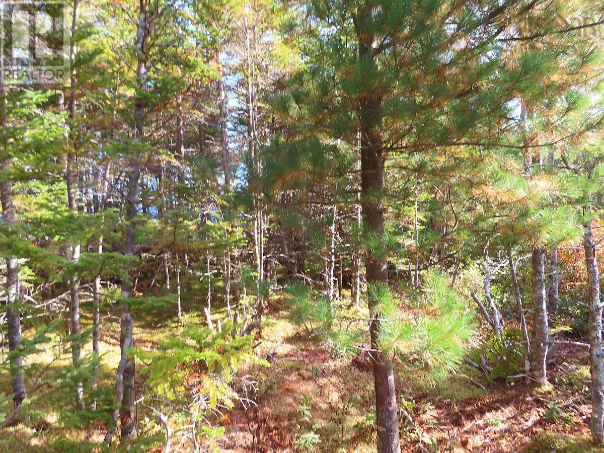 Property 11 of 45 of Lot 30 Belfry Lake Road