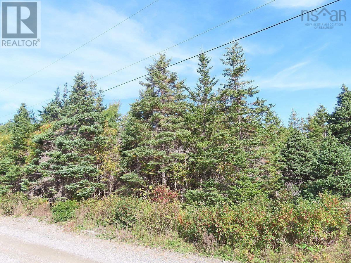 Property 14 of 45 of Lot 30 Belfry Lake Road