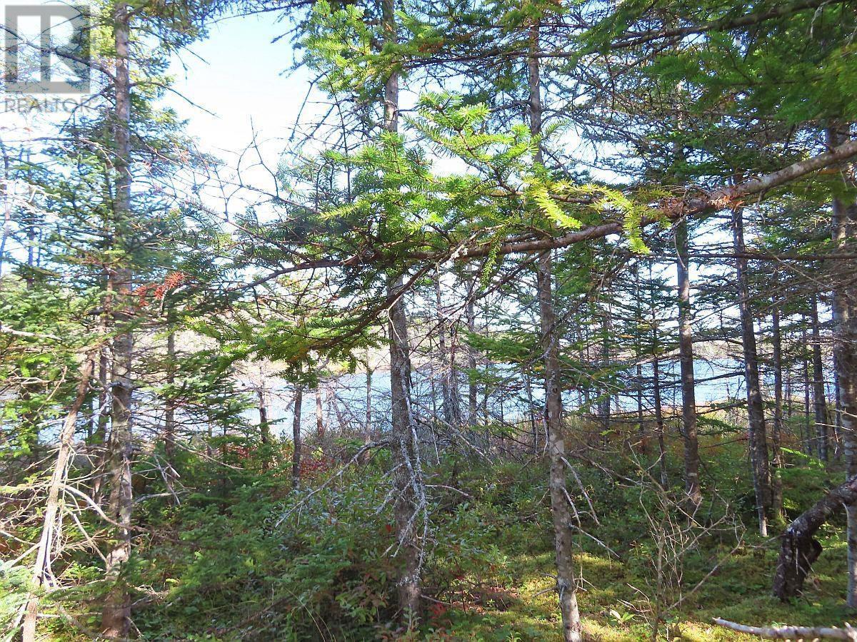 Property 12 of 45 of Lot 30 Belfry Lake Road