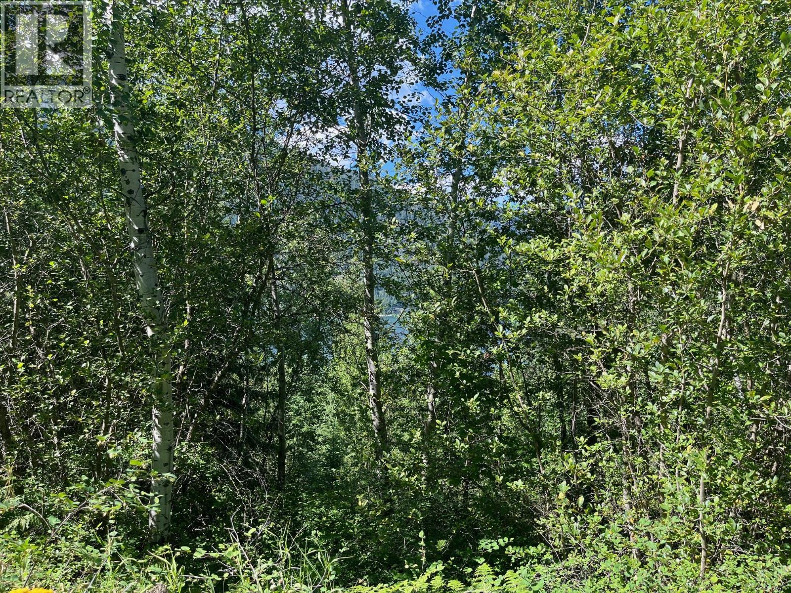Vacant Land for Sale in Nelson – Lot B Government Street, Nelson - Image 3