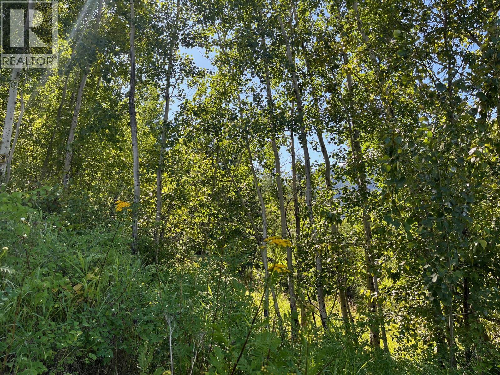 Vacant Land for Sale in Nelson – Lot B Government Street, Nelson - Image 6