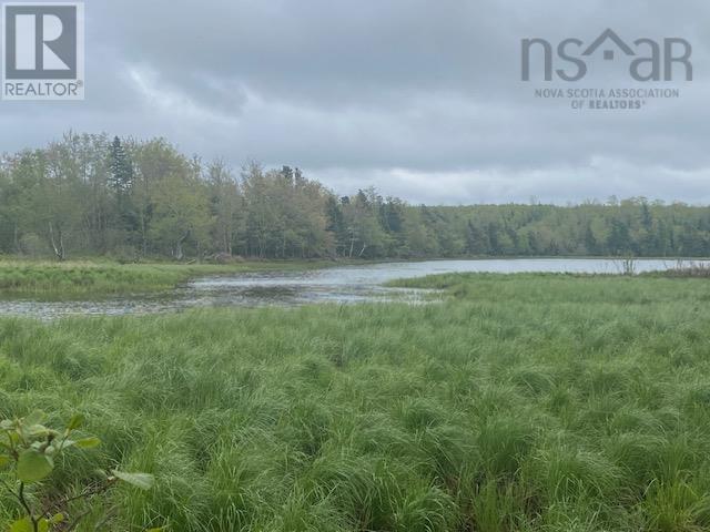 1122 Lake Egmont Road - 15