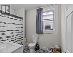 163 Patrick Street thumbnail 16