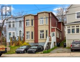 163 Patrick Street thumbnail 2