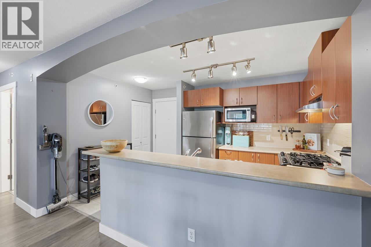 411 9233 GOVERNMENT STREET, Burnaby