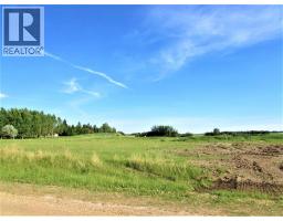 207 Gregory Street, New Norway, AB T0B3L0 Photo 6