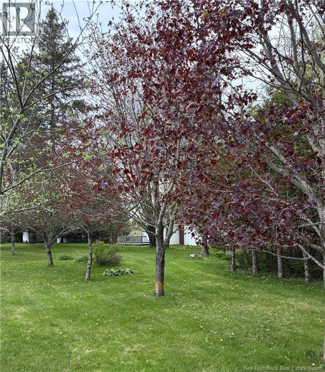 186 Killam Road - 8