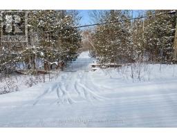 3020 Finley Road, Selwyn, ON K0L2H0 Photo 10