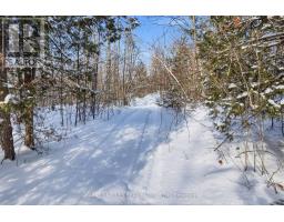 3020 Finley Road, Selwyn, ON K0L2H0 Photo 11