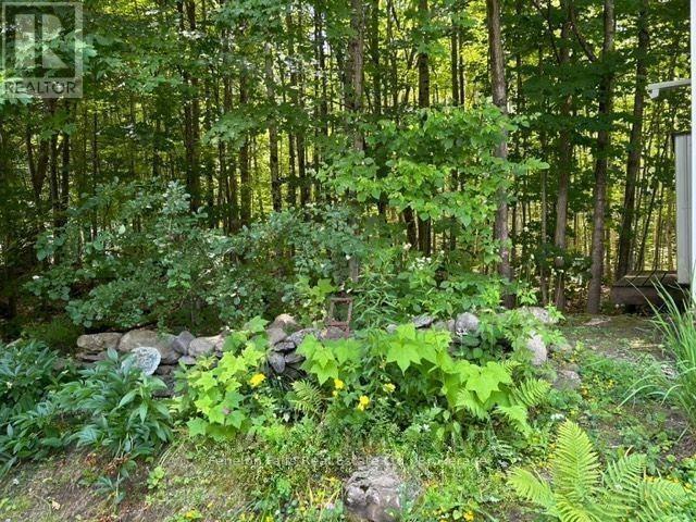 #LOT 312 1802 COUNTY ROAD 121 ROAD - Image 13