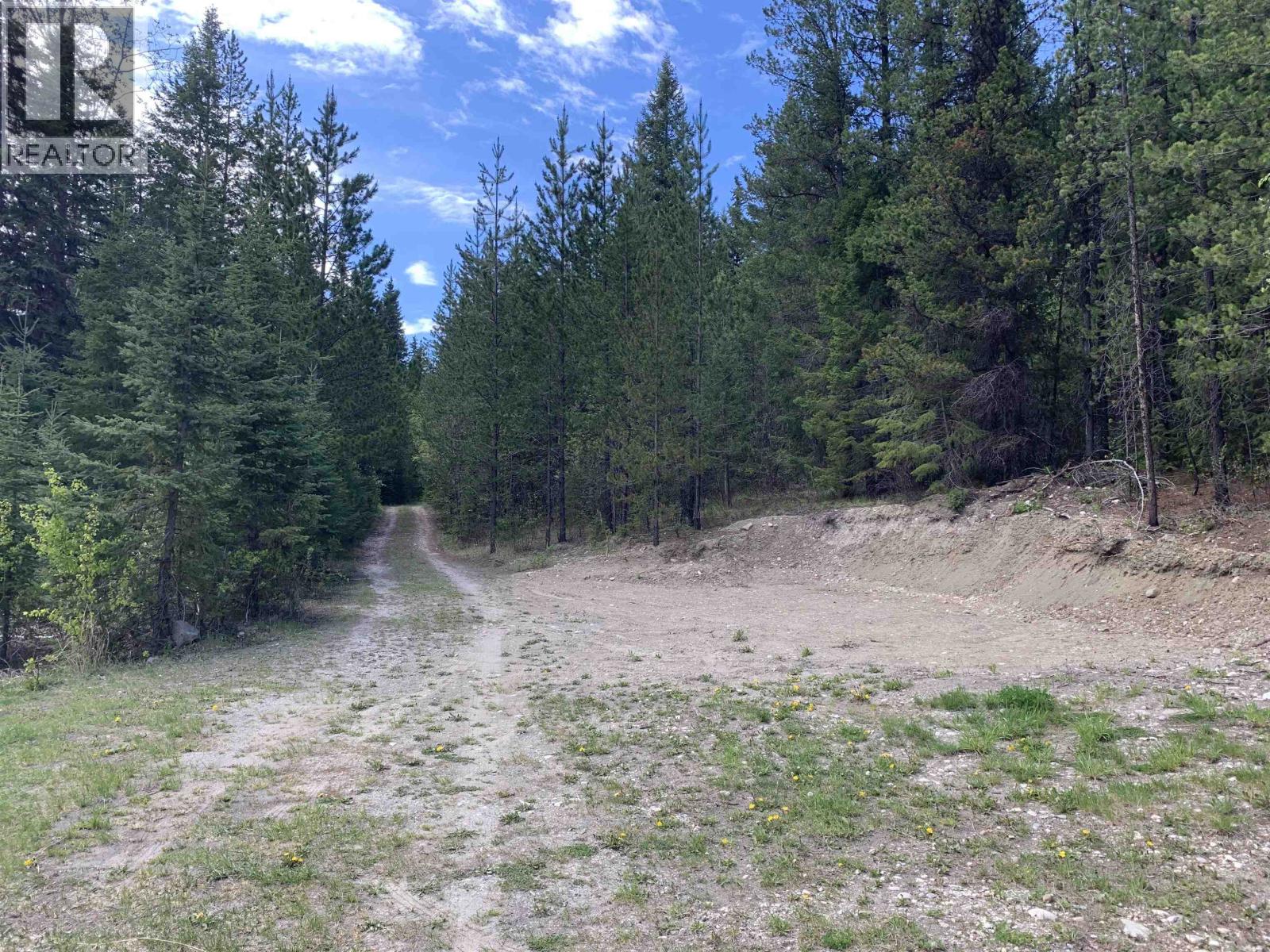 LOT A STARLIKE LAKE ROAD - Image 3