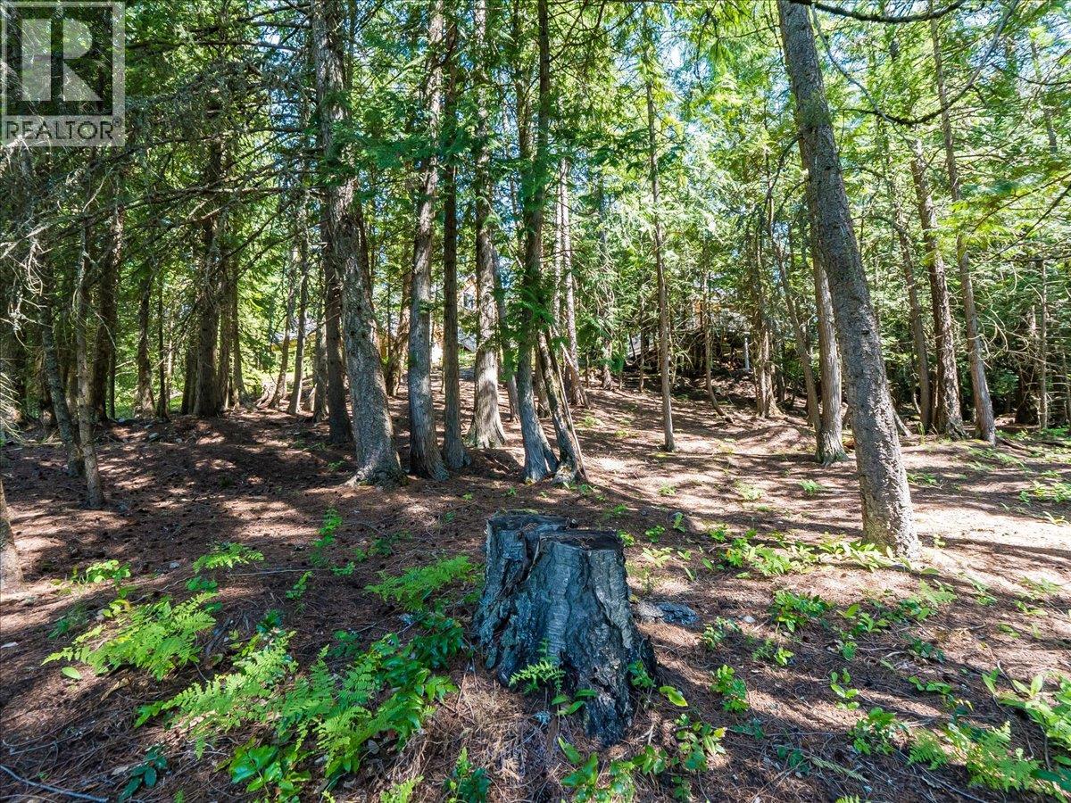 2209 Jenisa Road - 8