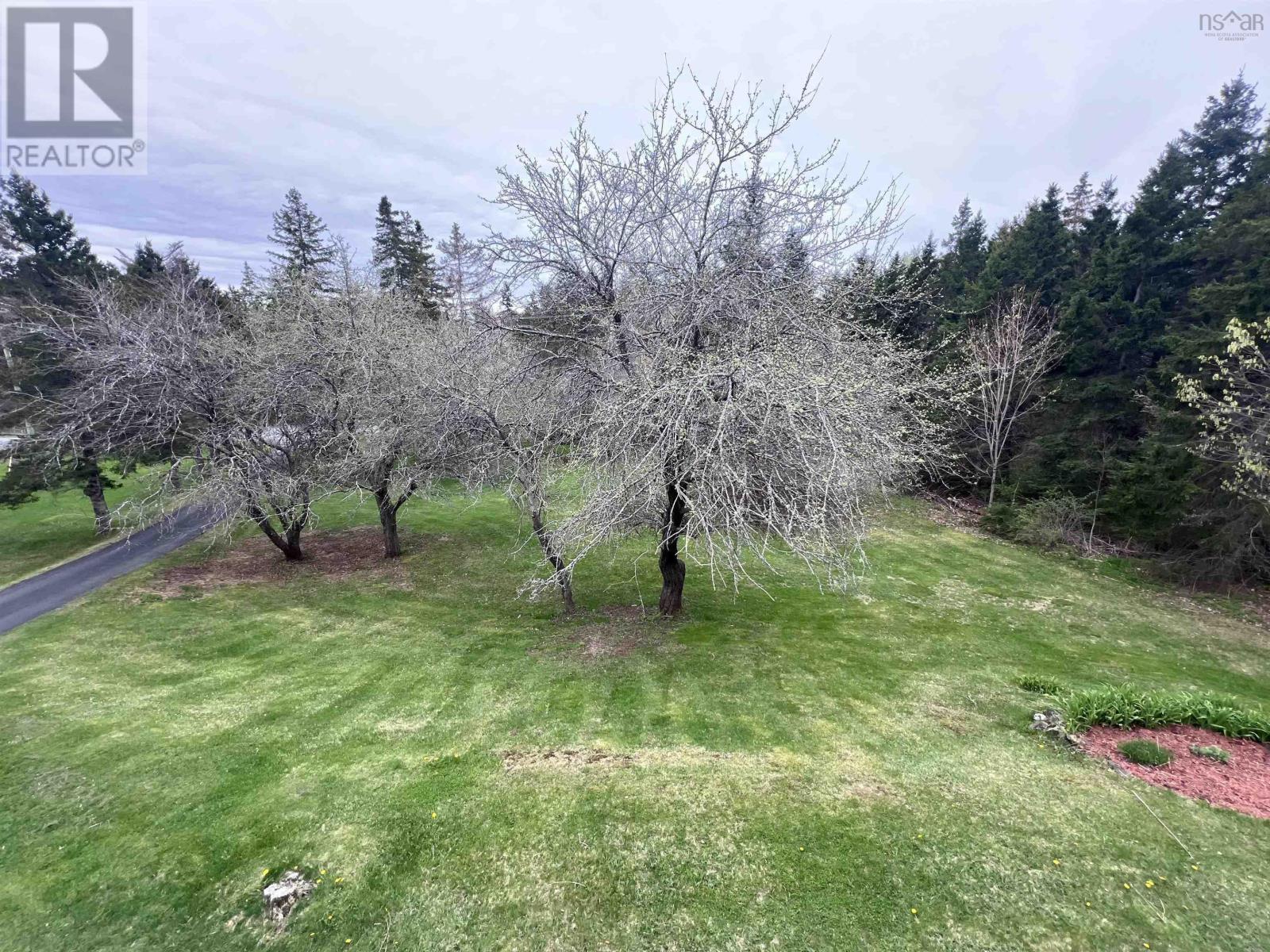 1428 Coxheath Road - 17