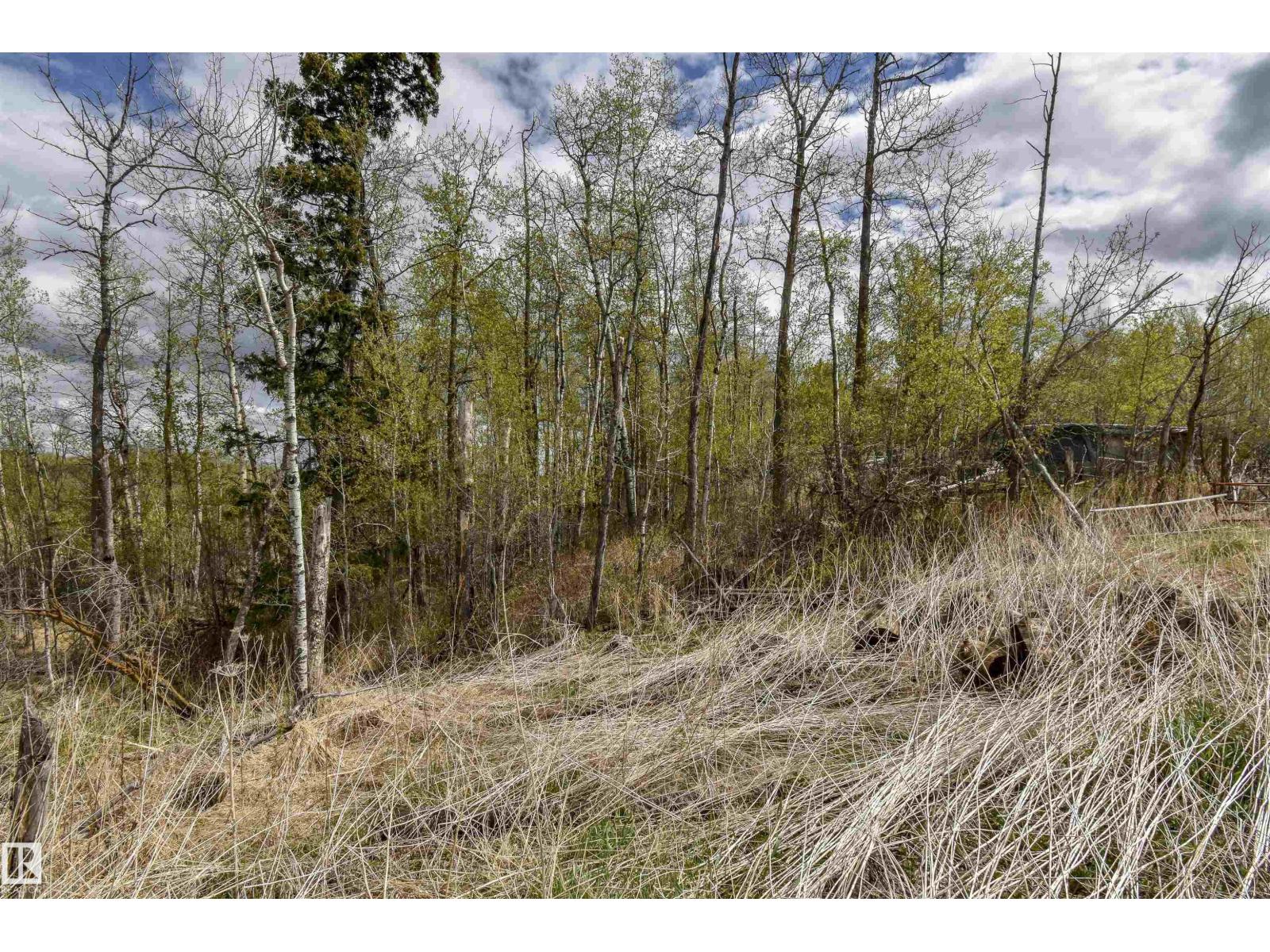 53205A Rge Rd 35 — photo 17