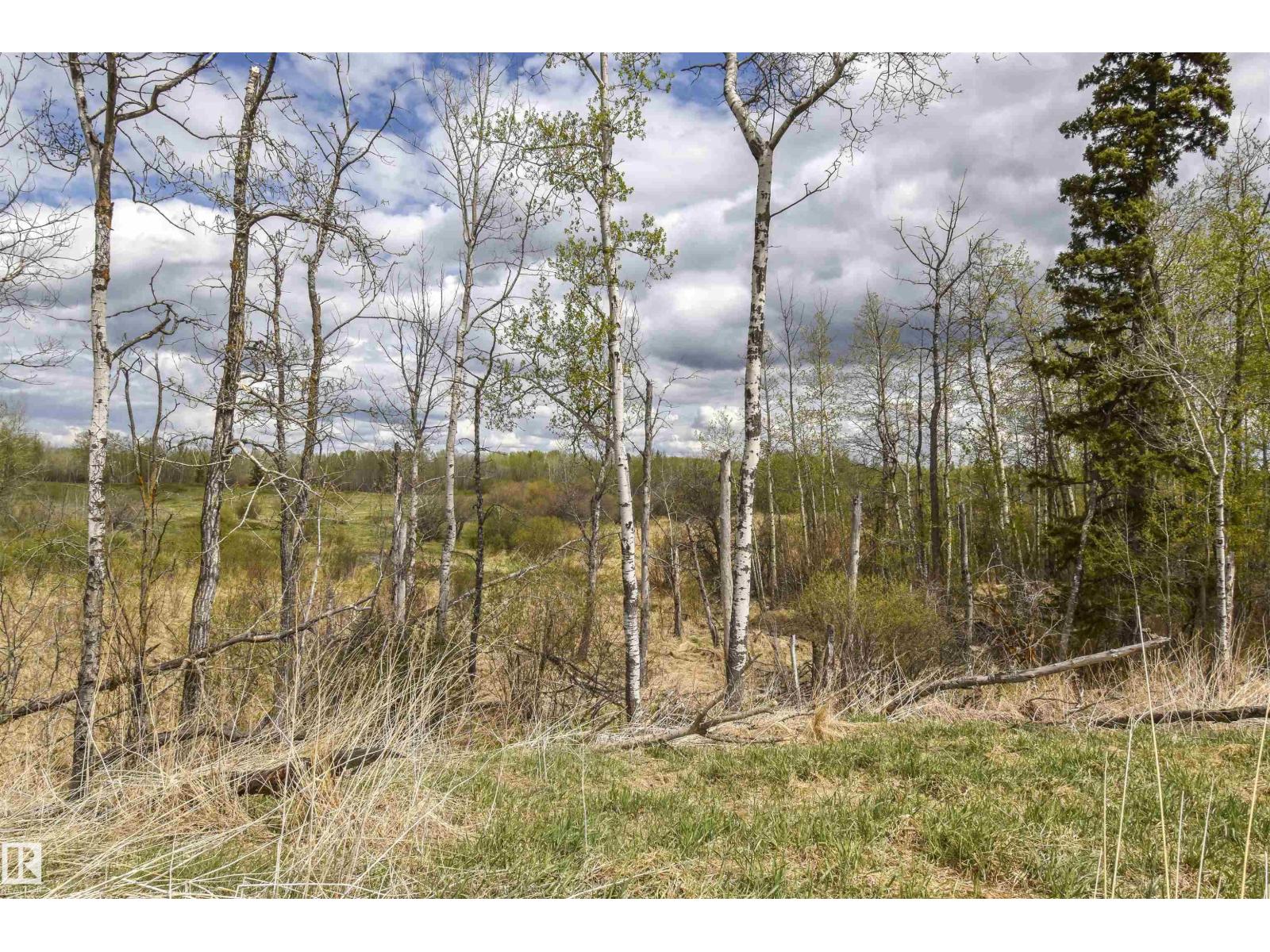 53205A Rge Rd 35 — photo 15
