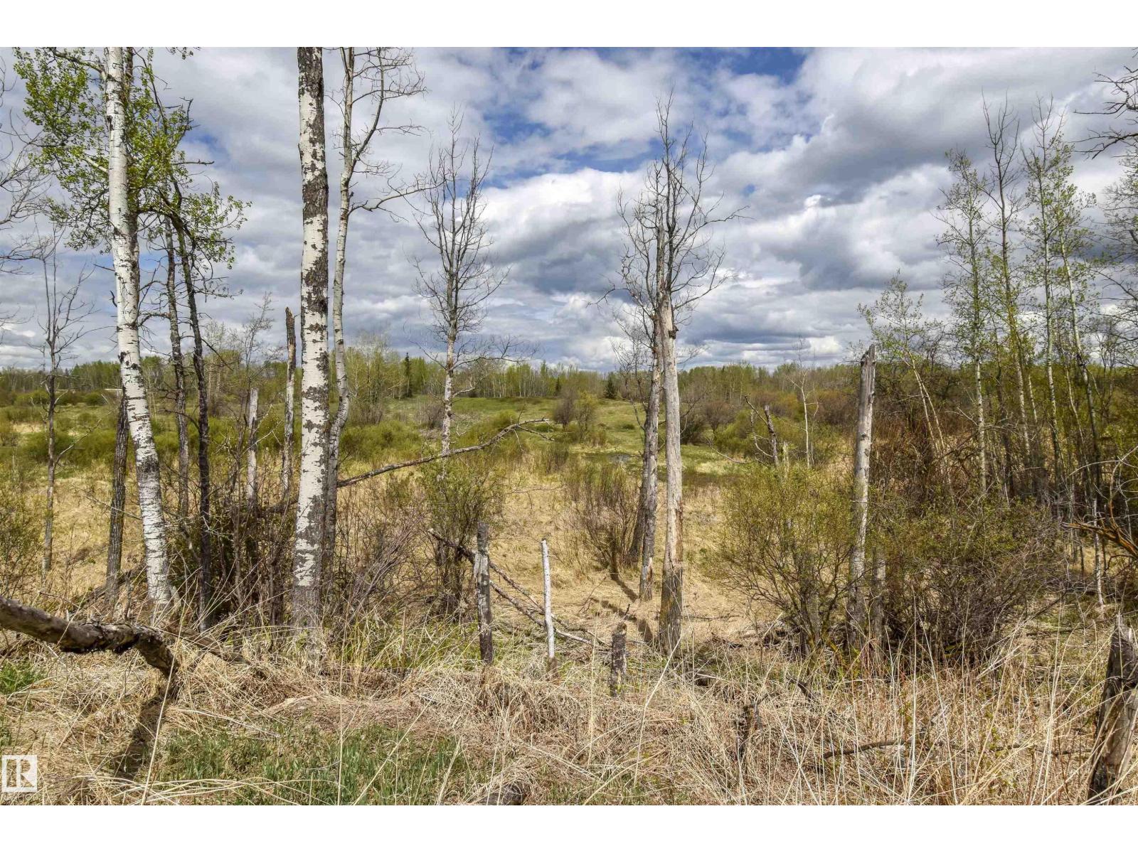 53205A Rge Rd 35 — photo 16