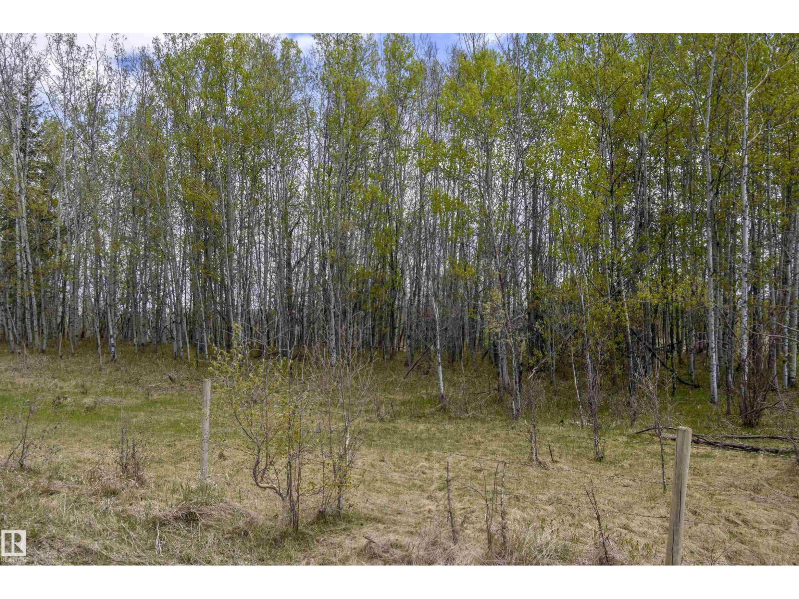 53205A Rge Rd 35 — photo 20