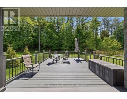 4 Lynndale Road, Norfolk, ON N3Y0E2 Photo 42