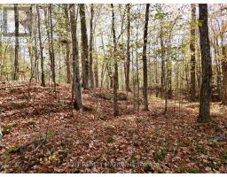 Lot 2 Woodland Park Drive, Frontenac, ON K0H1B0 Photo 7