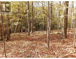 Lot 2 Woodland Park Drive, Frontenac, ON K0H1B0 Photo 6