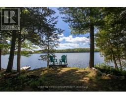 32 Buck Island, Leeds And The Thousand Islands, ON K0E1B0 Photo 13