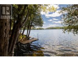32 Buck Island, Leeds And The Thousand Islands, ON K0E1B0 Photo 19
