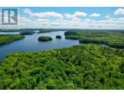 32 Buck Island, Leeds And The Thousand Islands, ON K0E1B0 Photo 45