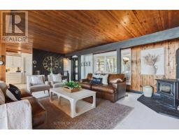 3 - 4209 Muskoka Road 117, Lake Of Bays, ON P0B1A0 Photo 9