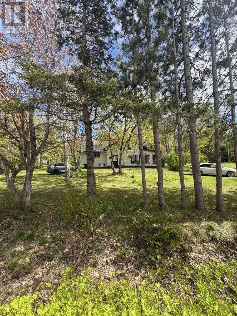 1105 Peakes Road - 27