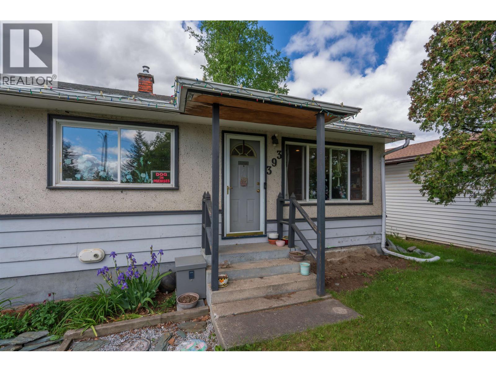 393 IRWIN STREET - 1