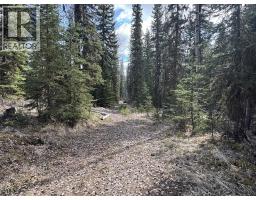 Lot 1 Little Holden Lake, 100 Mile House, BC V0K2E0 Photo 15