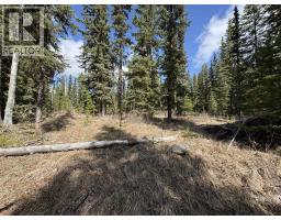 Lot 1 Little Holden Lake, 100 Mile House, BC V0K2E0 Photo 16