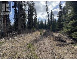 Lot 1 Little Holden Lake, 100 Mile House, BC V0K2E0 Photo 17