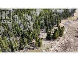 Lot 1 Little Holden Lake, 100 Mile House, BC V0K2E0 Photo 21