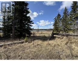 Lot 1 Little Holden Lake, 100 Mile House, BC V0K2E0 Photo 8