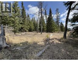 Lot 1 Little Holden Lake, 100 Mile House, BC V0K2E0 Photo 9