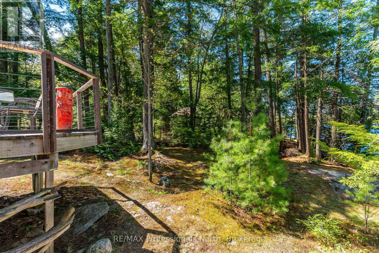 54261 BIG HAWK EAST SHORE - 19