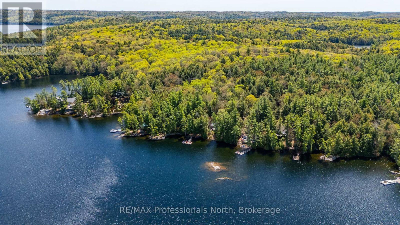 54261 BIG HAWK EAST SHORE - 43